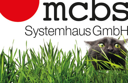 mcbs 01